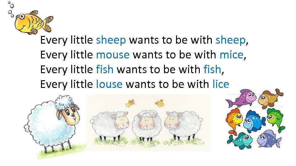 Every little sheep wants to be with sheep, Every little mouse wants to be