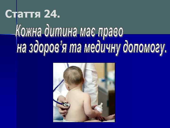 Стаття 24. 