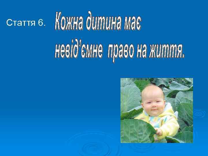 Стаття 6. 