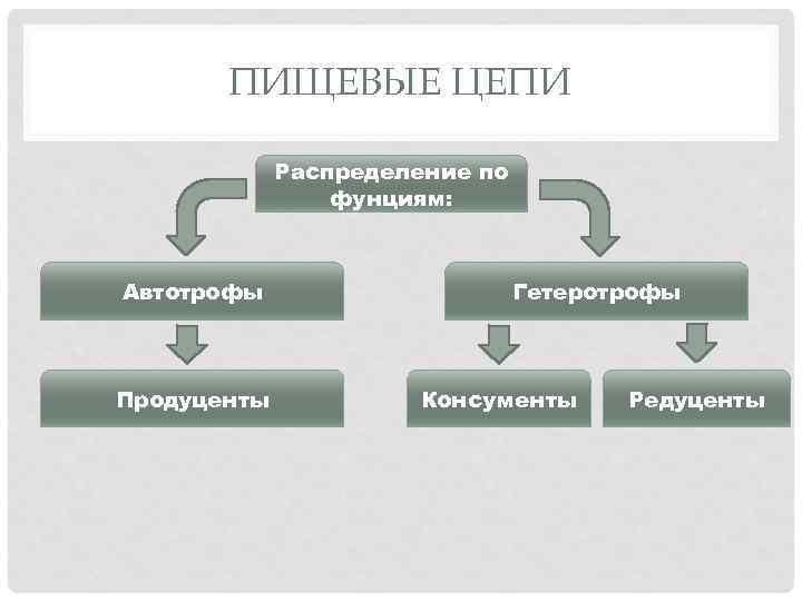 ПИЩЕВЫЕ ЦЕПИ Распределение по фунциям: Автотрофы Продуценты Гетеротрофы Консументы Редуценты 