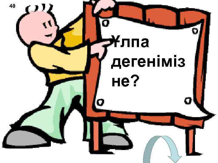 40 Ұлпа дегеніміз не? 