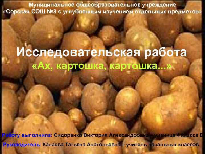 Муниципальное общеобразовательное учреждение «Сорская СОШ № 3 с углубленным изучением отдельных предметов» Исследовательская работа