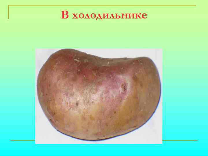 В холодильнике 