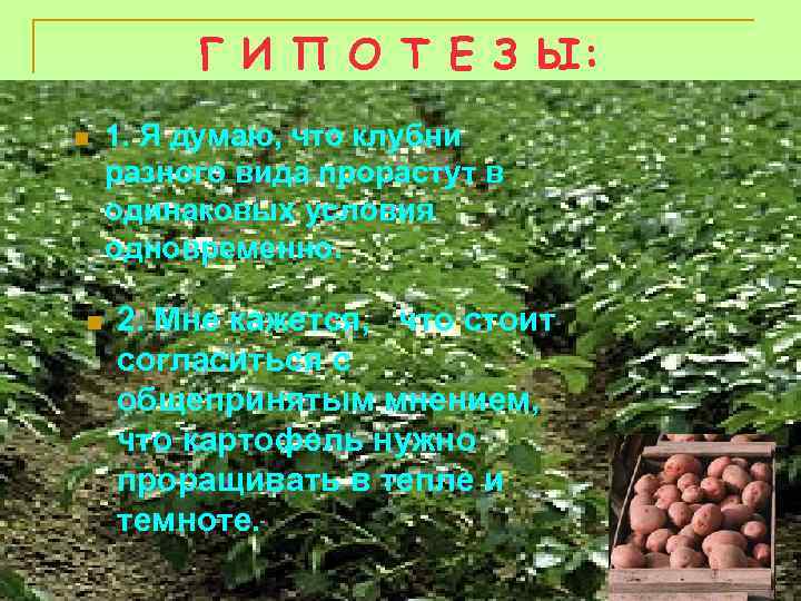 Г И П О Т Е З Ы: n n 1. Я думаю, что