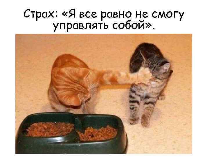 Страх: «Я все равно не смогу управлять собой» . 