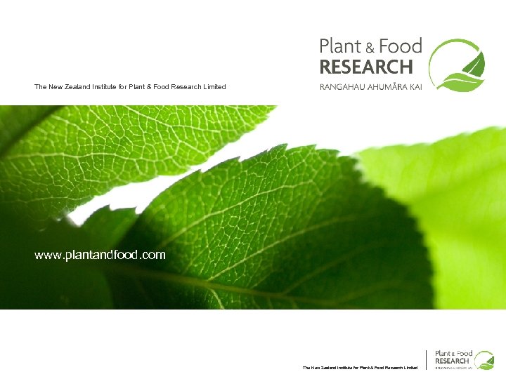 The New Zealand Institute for Plant & Food Research Limited www. plantandfood. com The