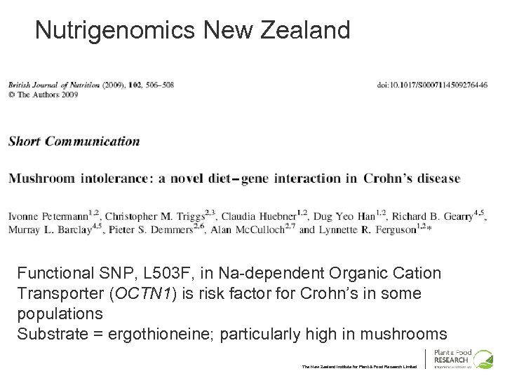 Nutrigenomics New Zealand Functional SNP, L 503 F, in Na-dependent Organic Cation Transporter (OCTN