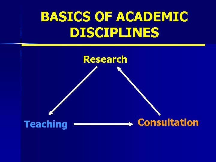 BASICS OF ACADEMIC DISCIPLINES Research Teaching Consultation 