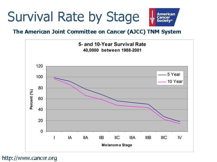 Survival Rate by Stage The American Joint Committee on Cancer (AJCC) TNM System http: