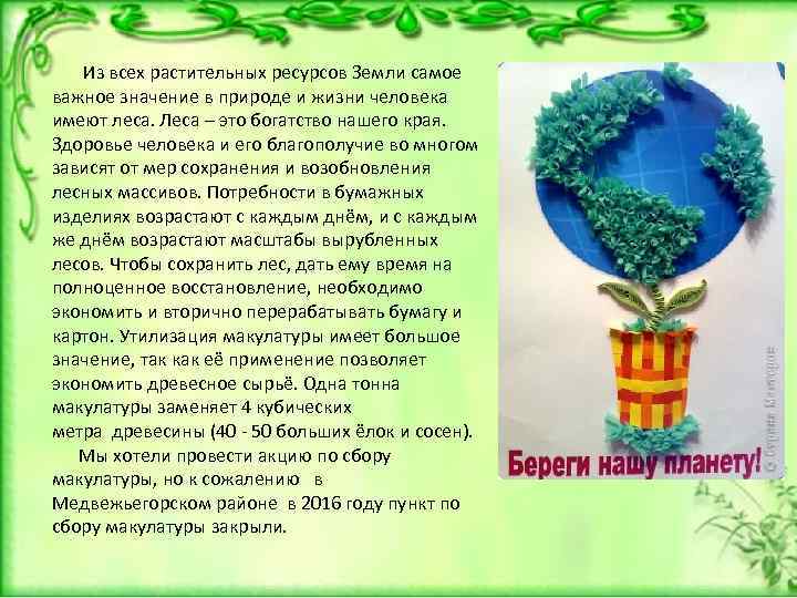  Из всех растительных ресурсов Земли самое важное значение в природе и жизни человека