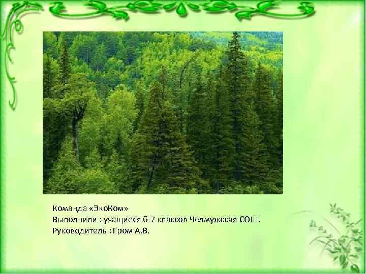 Команда «Эко. Ком» Выполнили : учащиеся 6 -7 классов Челмужская СОШ. Руководитель : Гром