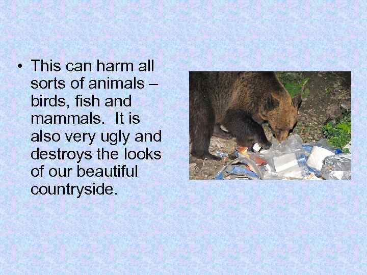  • This can harm all sorts of animals – birds, fish and mammals.