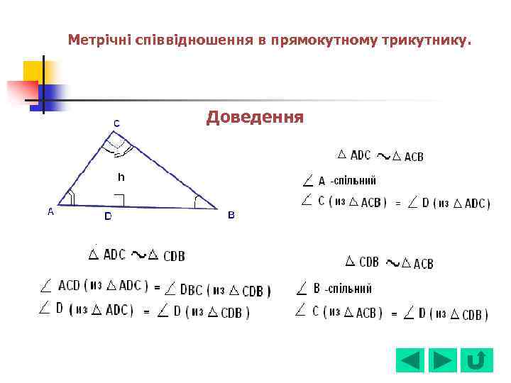 Метрічні співвідношення в прямокутному трикутнику. Доведення 