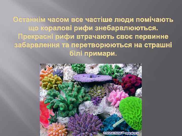 Останнім часом все частіше люди помічають що коралові рифи знебарвлюються. Прекрасні рифи втрачають своє