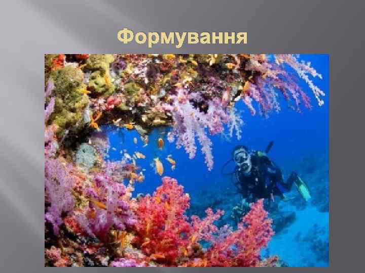 Формування 