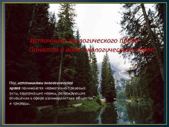 Источники экологического права Понятия и виды экологического права Под источниками экологического права понимаются нормативно-правовые