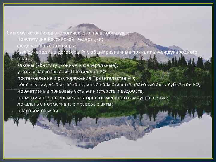 Систему источников экологического права образуют: Конституция Российской Федерации; федеративные договоры; международные договоры РФ, общепризнанные