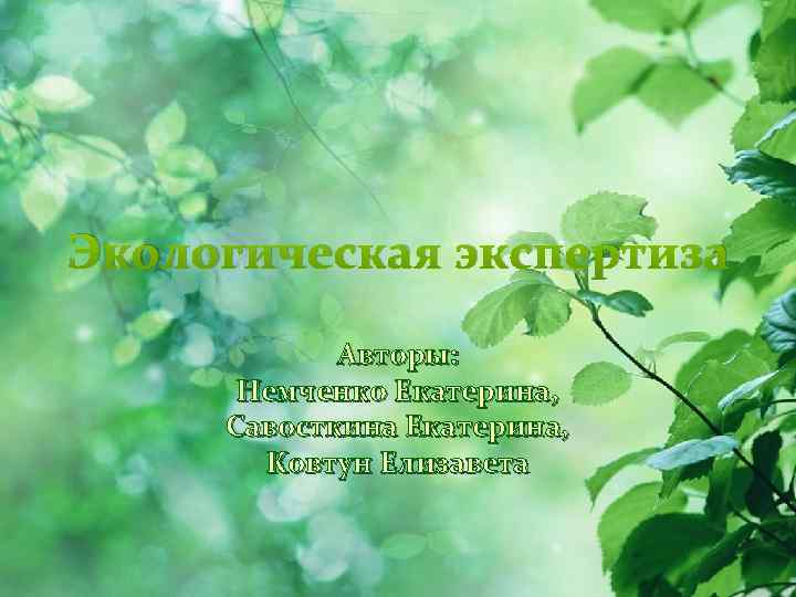 Экологическая экспертиза Авторы: Немченко Екатерина, Савосткина Екатерина, Ковтун Елизавета 