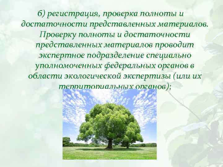 б) регистрация, проверка полноты и достаточности представленных материалов. Проверку полноты и достаточности представленных материалов