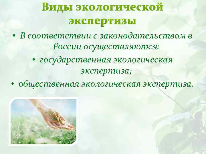 Виды экологической экспертизы • В соответствии с законодательством в России осуществляются: • государственная экологическая