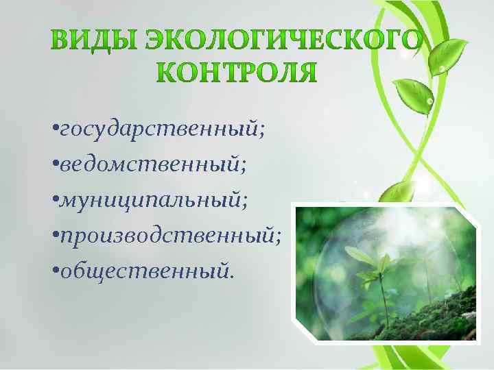  • государственный; • ведомственный; • муниципальный; • производственный; • общественный. 