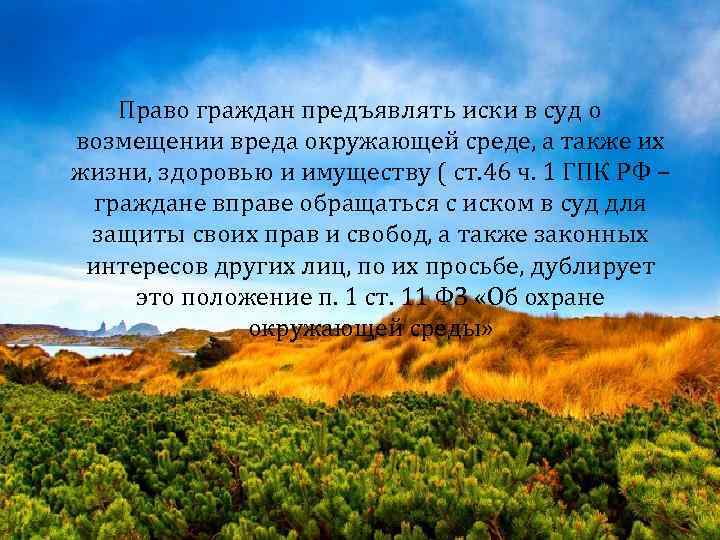 Право граждан предъявлять иски в суд о возмещении вреда окружающей среде, а также их