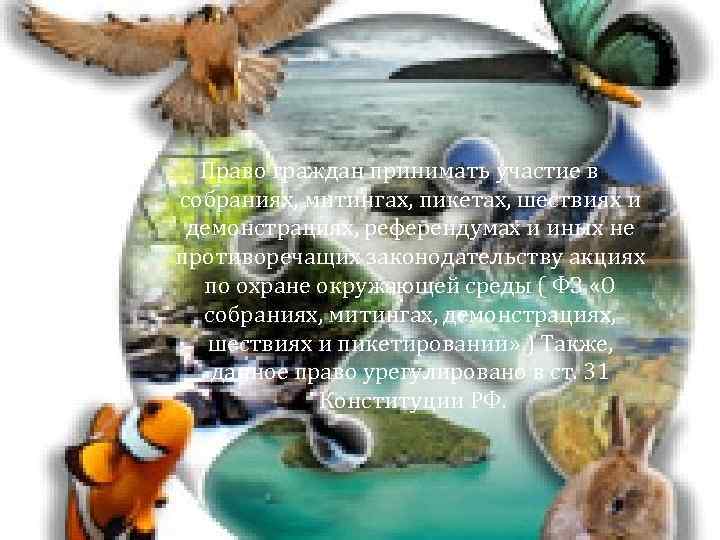 Право граждан принимать участие в собраниях, митингах, пикетах, шествиях и демонстрациях, референдумах и иных