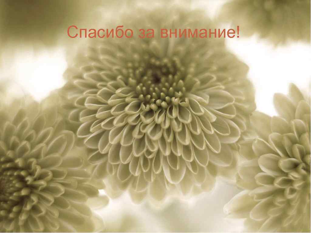 Спасибо за внимание! 