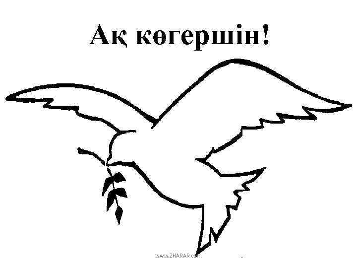 Ақ көгершін! www. ZHARAR. com 
