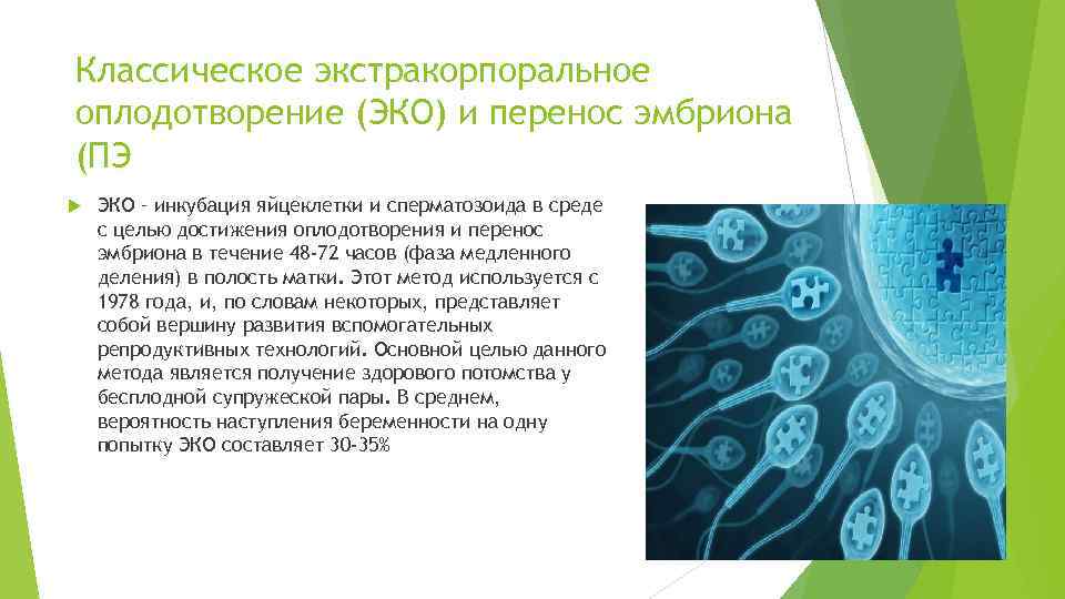 Классическое экстракорпоральное оплодотворение (ЭКО) и перенос эмбриона (ПЭ ЭКО – инкубация яйцеклетки и сперматозоида