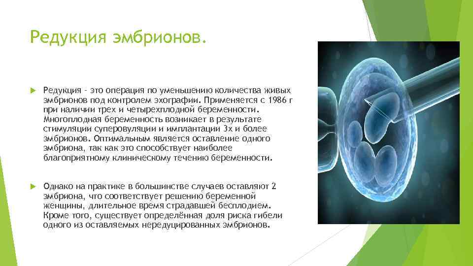 Редукция эмбрионов. Редукция – это операция по уменьшению количества живых эмбрионов под контролем эхографии.