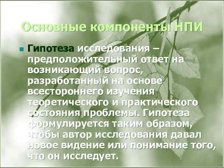 Основные компоненты НПИ n Гипотеза исследования – предположительный ответ на возникающий вопрос, разработанный на