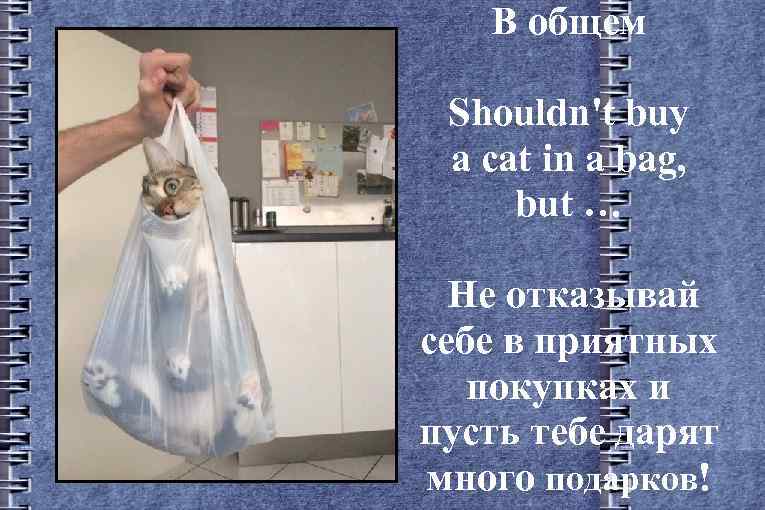 В общем Shouldn't buy a cat in a bag, but … Не отказывай себе