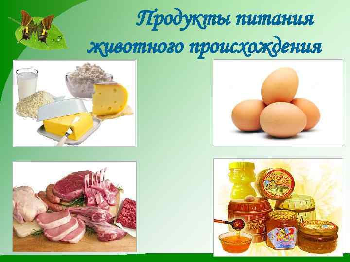 Продукты питания животного происхождения 