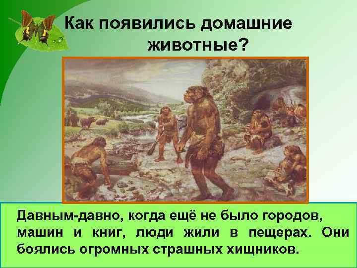 Как появились домашние животные? Давным-давно, когда ещё не было городов, машин и книг, люди