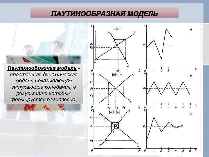 Паутинообразная модель - простейшая динамическая модель показывающая затухающие колебания, в результате которых формируется равновесие.