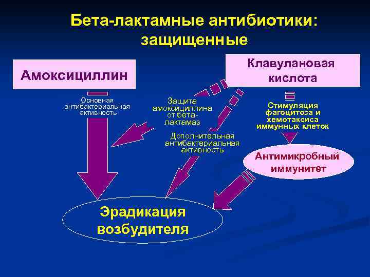 Бета-лактамные антибиотики: защищенные Клавулановая кислота Амоксициллин Основная антибактериальная активность Защита амоксициллина от беталактамаз Дополнительная