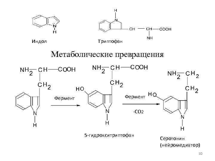 Индол Триптофан Метаболические превращения Фермент -СО 2 5 -гидрокситриптофан Серотонин (нейромедиатор) 10 