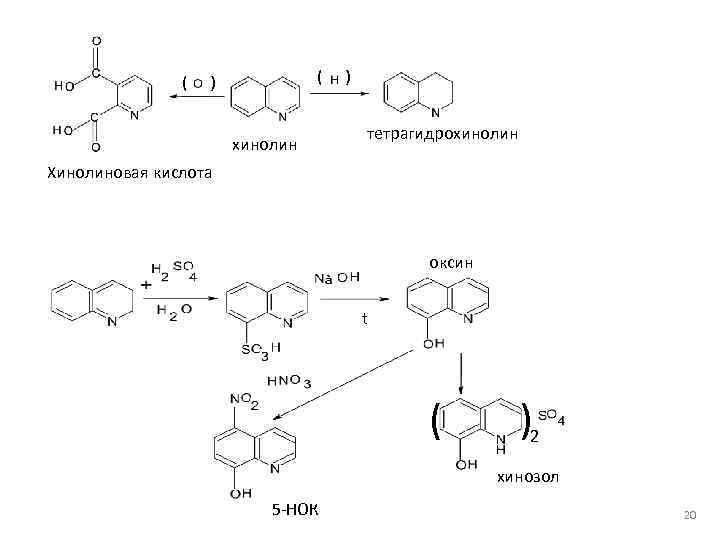 ( ( ) хинолин ) тетрагидрохинолин Хинолиновая кислота оксин t ( )2 хинозол 5