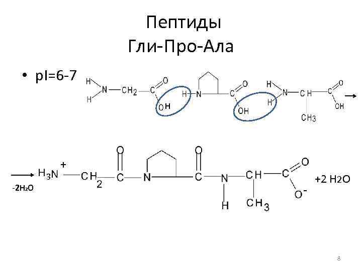 Пептиды Гли-Про-Ала • p. I=6 -7 H 3 -2 H 2 O + -