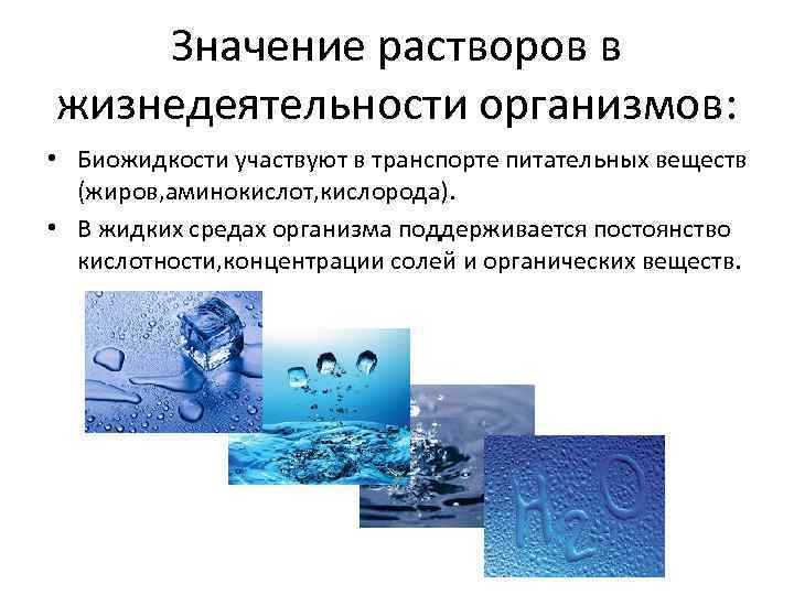 Значение растворов в жизнедеятельности организмов: • Биожидкости участвуют в транспорте питательных веществ (жиров, аминокислот,