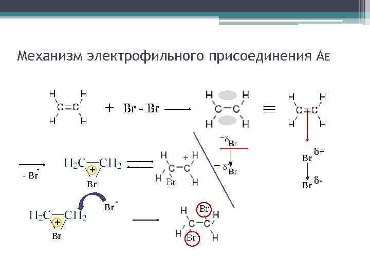 Механизм электрофильного присоединения АE + Br - Br + Br Br δ+ Br δ-