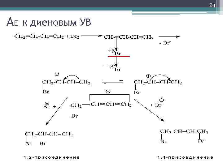 24 AE к диеновым УВ 