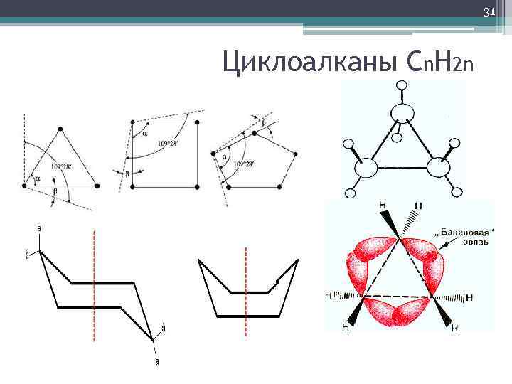 31 Циклоалканы Сn. H 2 n 