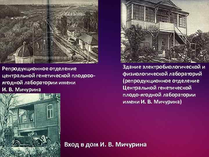 Репродукционное отделение центральной генетической плодовоягодной лаборатории имени И. В. Мичурина Здание электробиологической и физиологической
