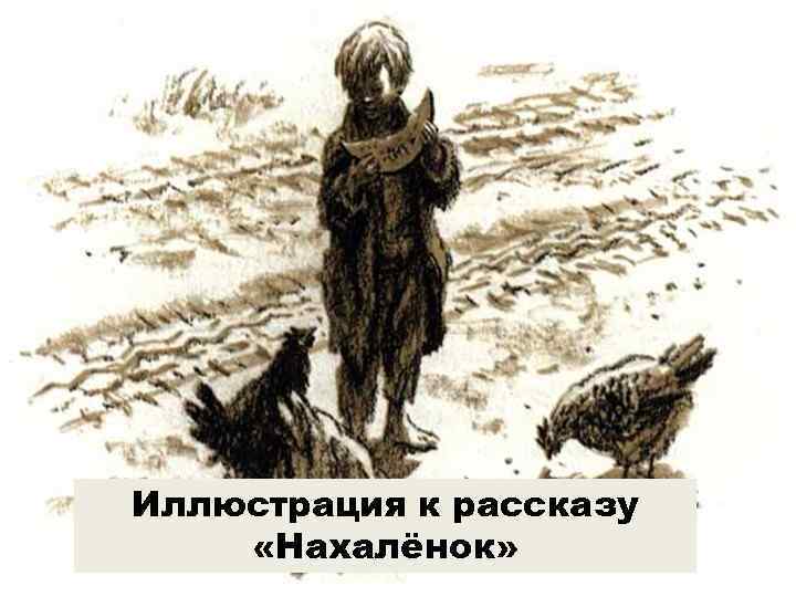 Иллюстрация к рассказу «Нахалёнок» 