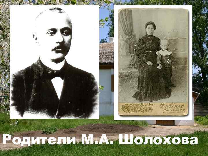 Родители М. А. Шолохова 