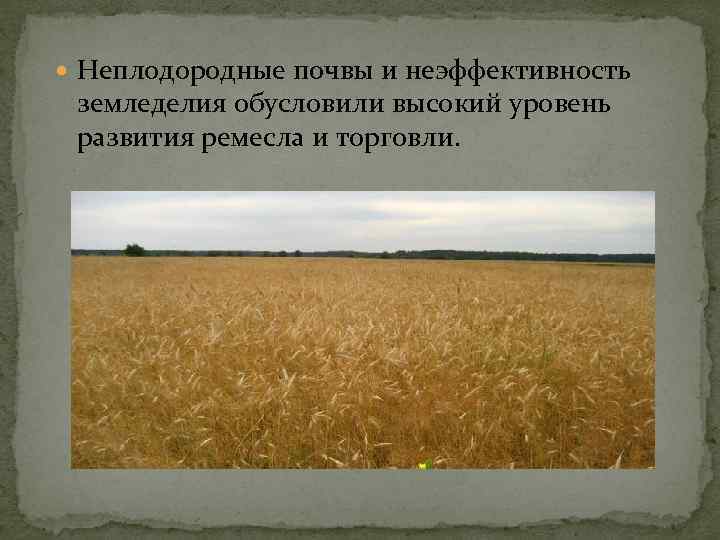  Неплодородные почвы и неэффективность земледелия обусловили высокий уровень развития ремесла и торговли. 