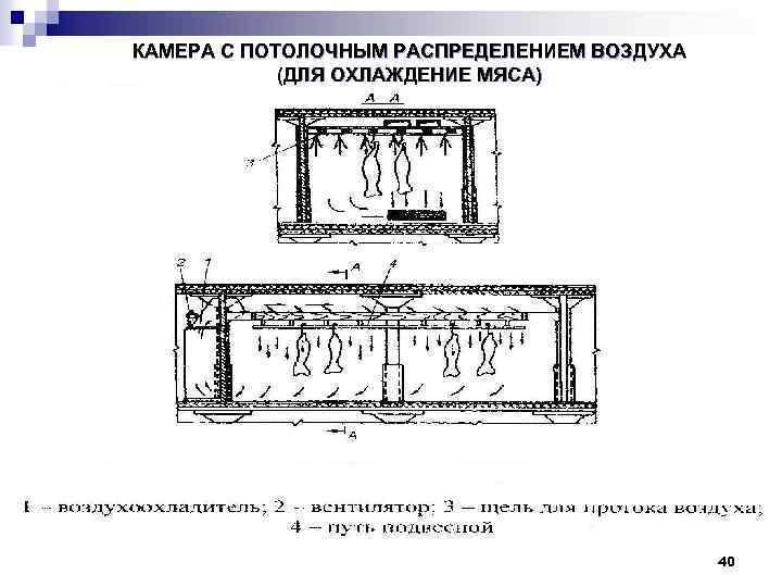 КАМЕРА С ПОТОЛОЧНЫМ РАСПРЕДЕЛЕНИЕМ ВОЗДУХА (ДЛЯ ОХЛАЖДЕНИЕ МЯСА) 40 