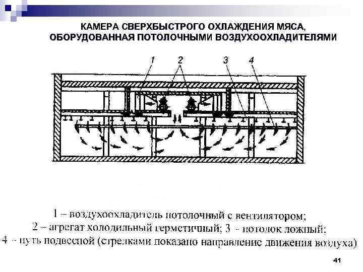 КАМЕРА СВЕРХБЫСТРОГО ОХЛАЖДЕНИЯ МЯСА, ОБОРУДОВАННАЯ ПОТОЛОЧНЫМИ ВОЗДУХООХЛАДИТЕЛЯМИ 41 